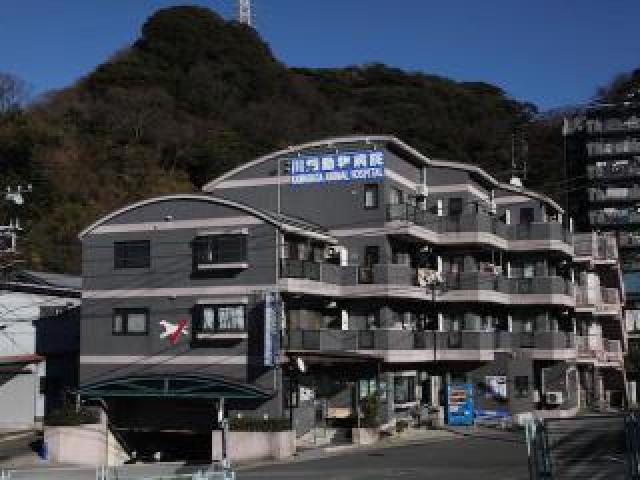 岩戸本院