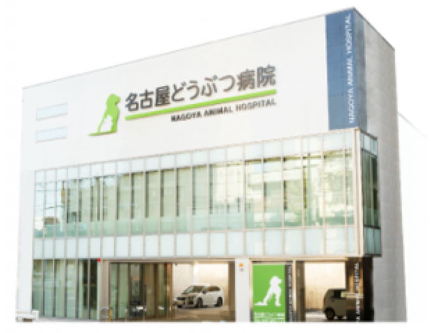 2015年にリニューアルしました!