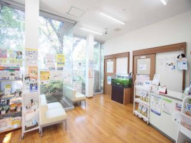 成城学園前の閑静な住宅街にある動物病院です