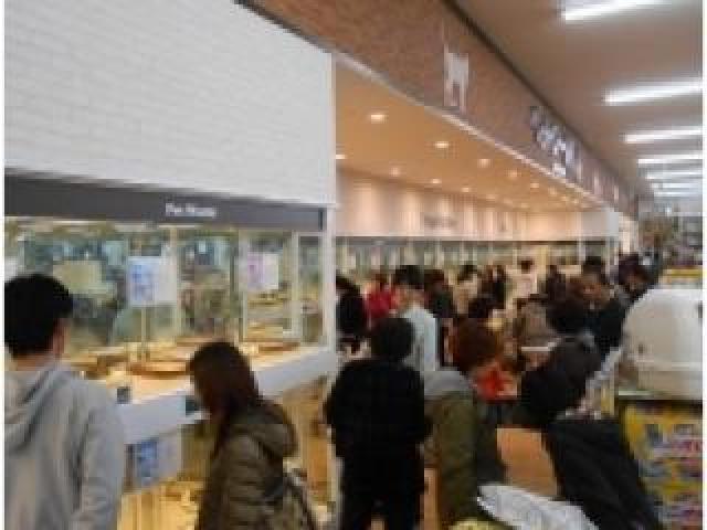 展示コーナー