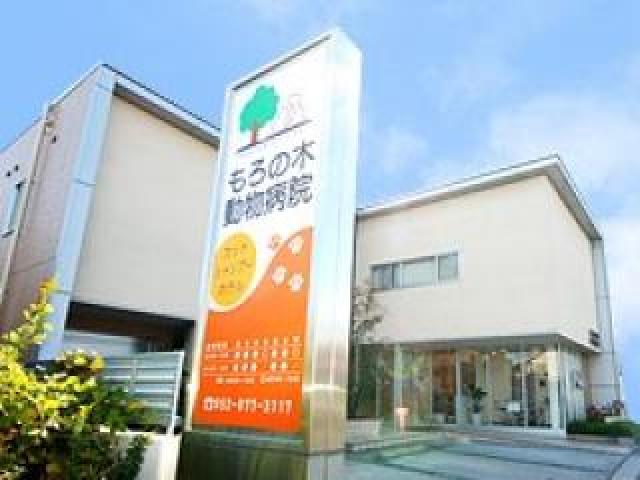 2011年開業の新しくきれいな病院です
