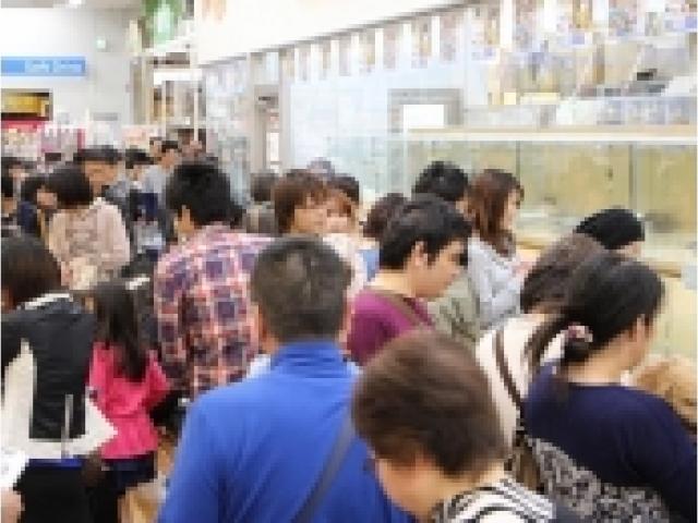 展示コーナー