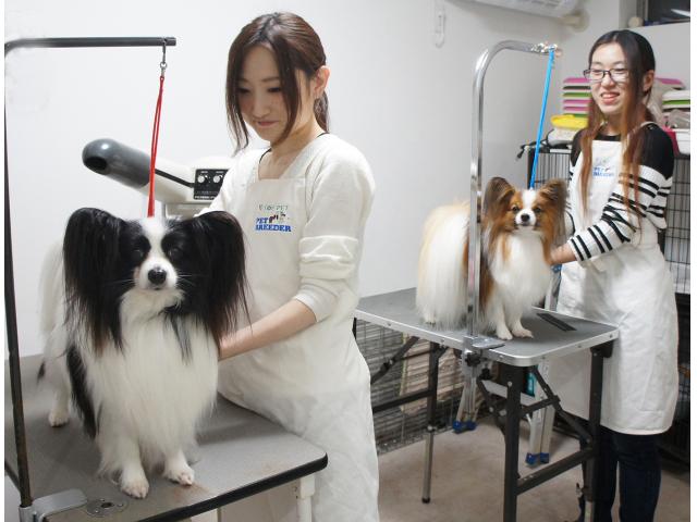 農林水産大臣賞受賞