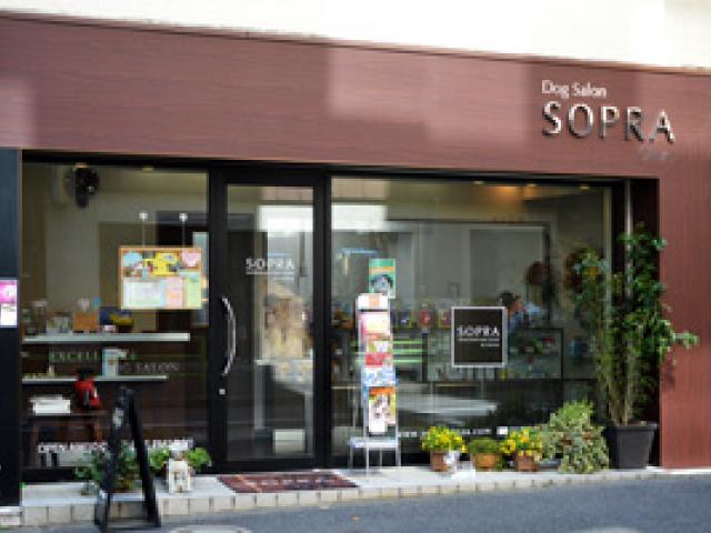 吉祥寺店❤