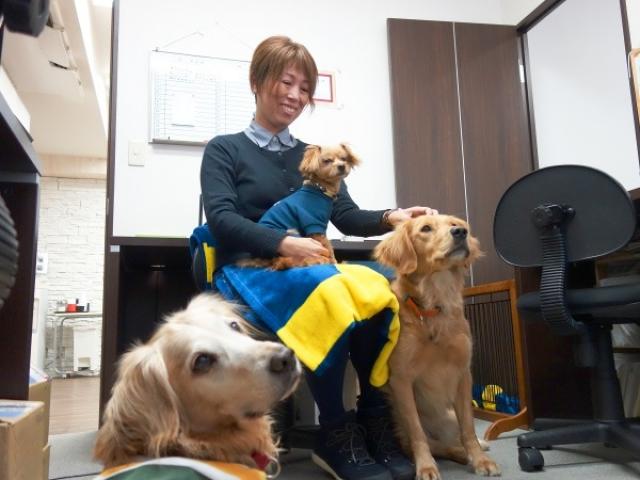 犬も人も楽しく取り組めるしつけ方