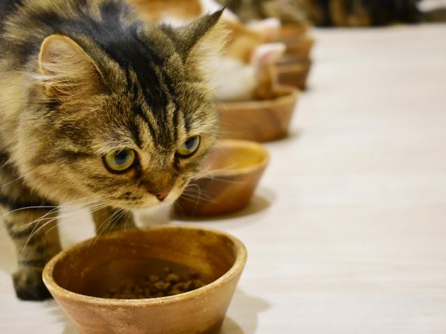 店舗雰囲気を大事にしています。清潔かつ楽しめる空間に!