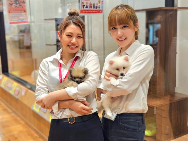 展示コーナー