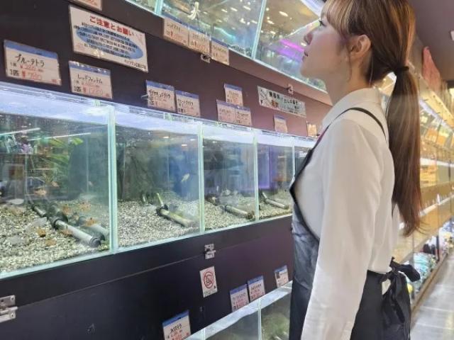 展示コーナー