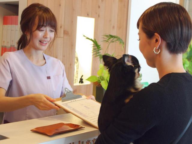 動物看護師募集｜トリミング兼任歓迎｜福利厚生充実｜学芸大学駅